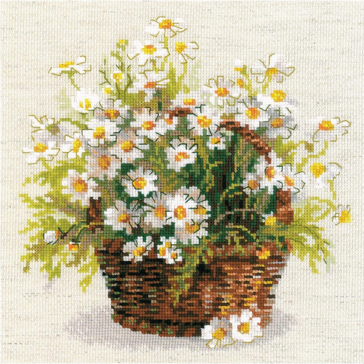 Bild Gänseblümchen