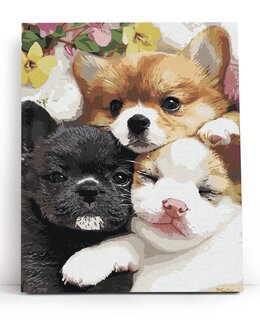 Paint by numbers Flauschige kleine Gesichter