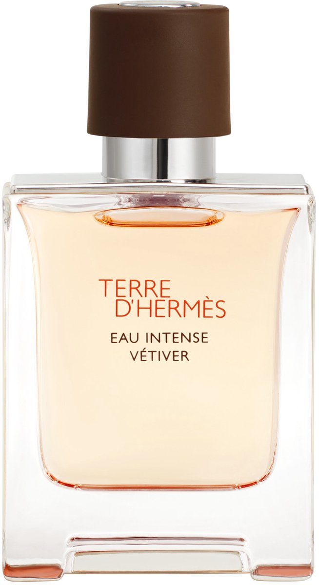Hermès Terre D'Hermès Eau Intense Vétiver - 50 ML Eau de Parfum Herren Parfum