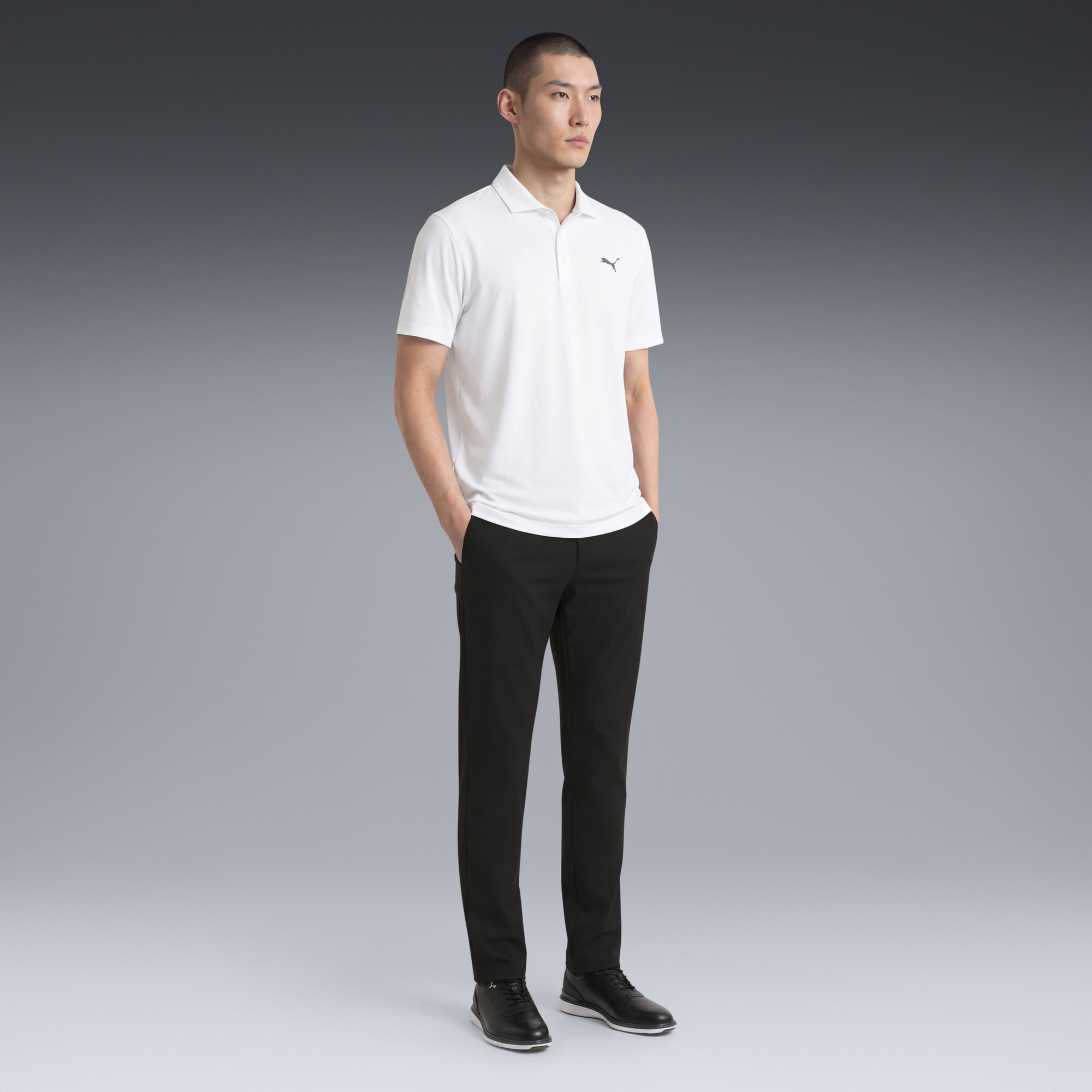 PUMA 101 Pure TailoRot Golfhose Herren, Kleidung, Schwarz, 36/36