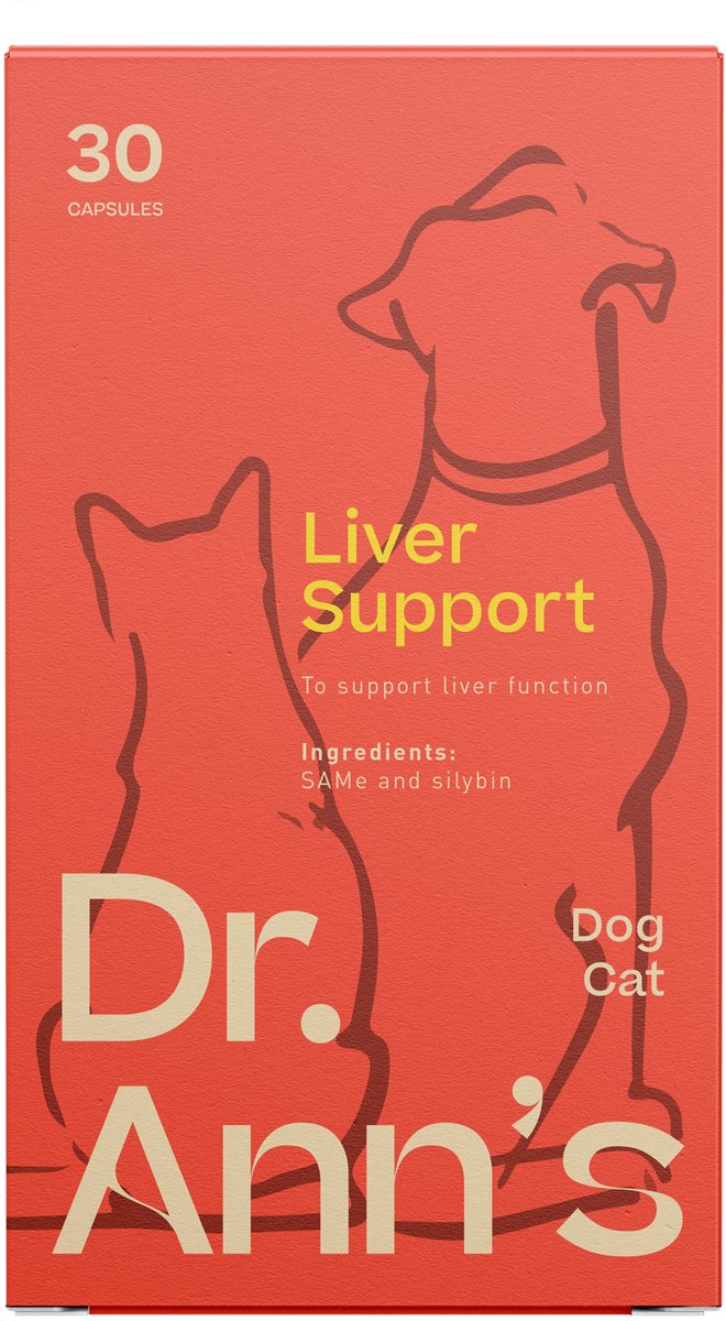 Dr. Ann's Liver Support - 2 x 30 Kapseln