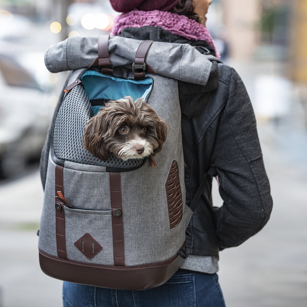 Kurgo Rucksack - Heather Grey