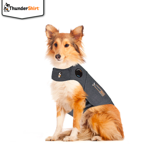 ThunderShirt Hund XL - 29-50 kg