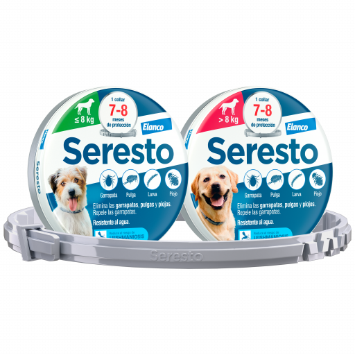 Seresto Halsband Hund leichter als 8 kg - 38 cm