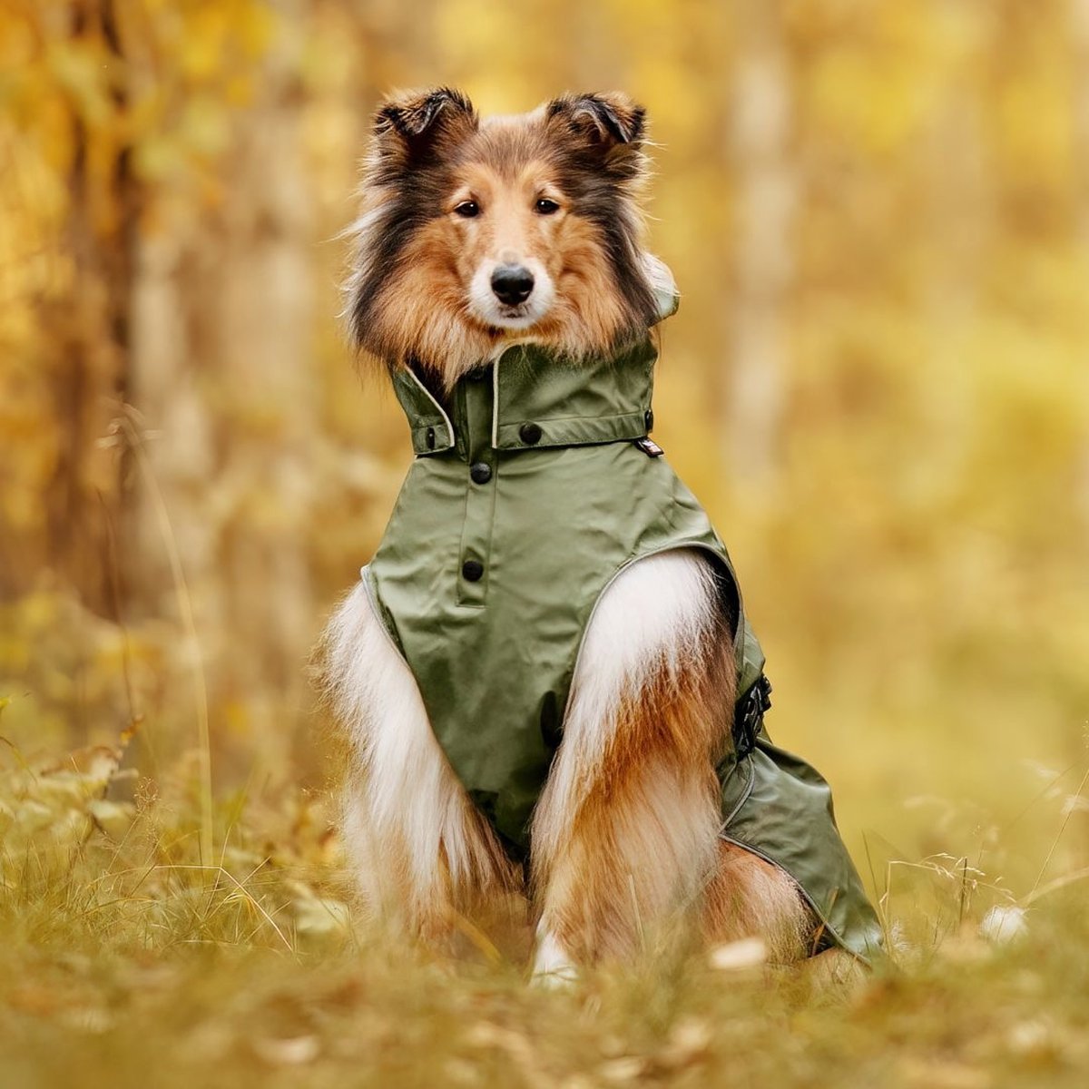 RukkaPets - Streamy ECO Regenmantel - Olive - 65