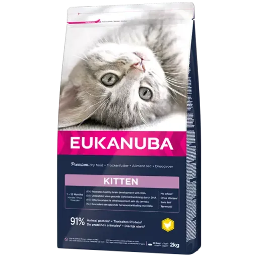 Eukanuba Kitten Healthy Start - 10kg