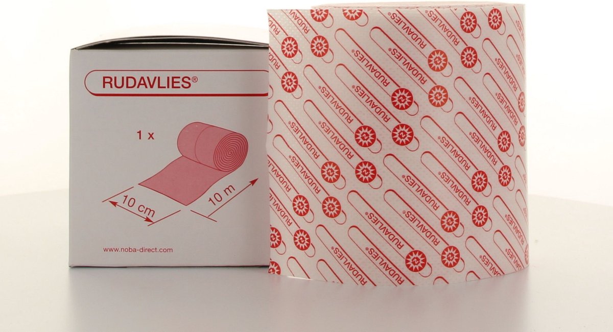 RUDAVLIES Klebevlies 10 cmx10 m 1 St Pflaster