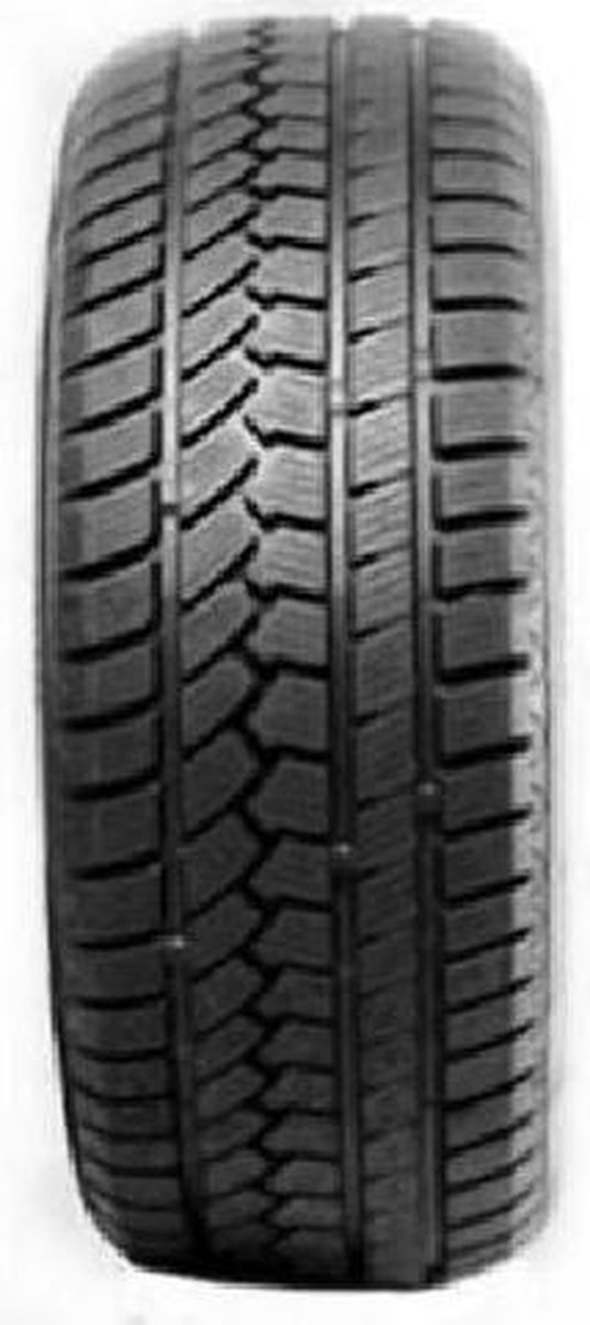 205/55 R17 95H W586 XL