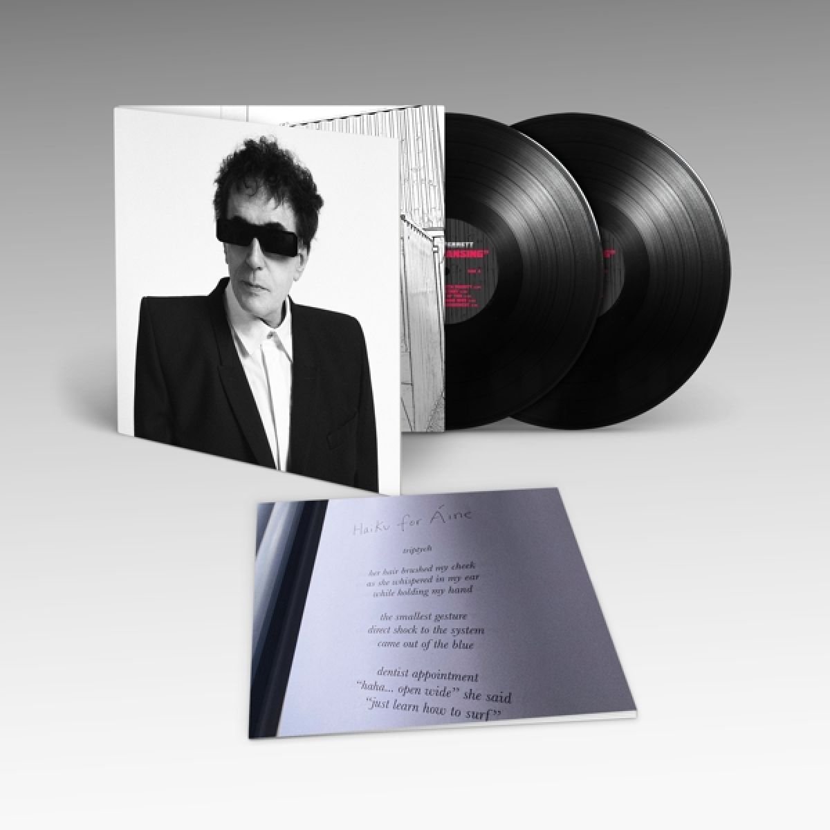 LP Schallplatte PETER PERRETT - The Cleansing WIGLP543 Domino 2024 Weltweit Rock