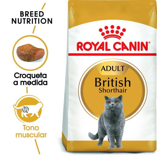 Royal Canin British Shorthair 2 Kg