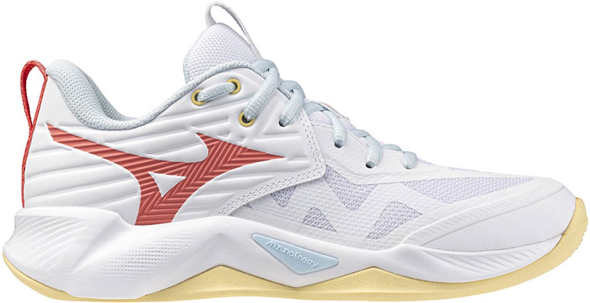 Hallenschuhe Damen Mizuno Wave Momentum Pro