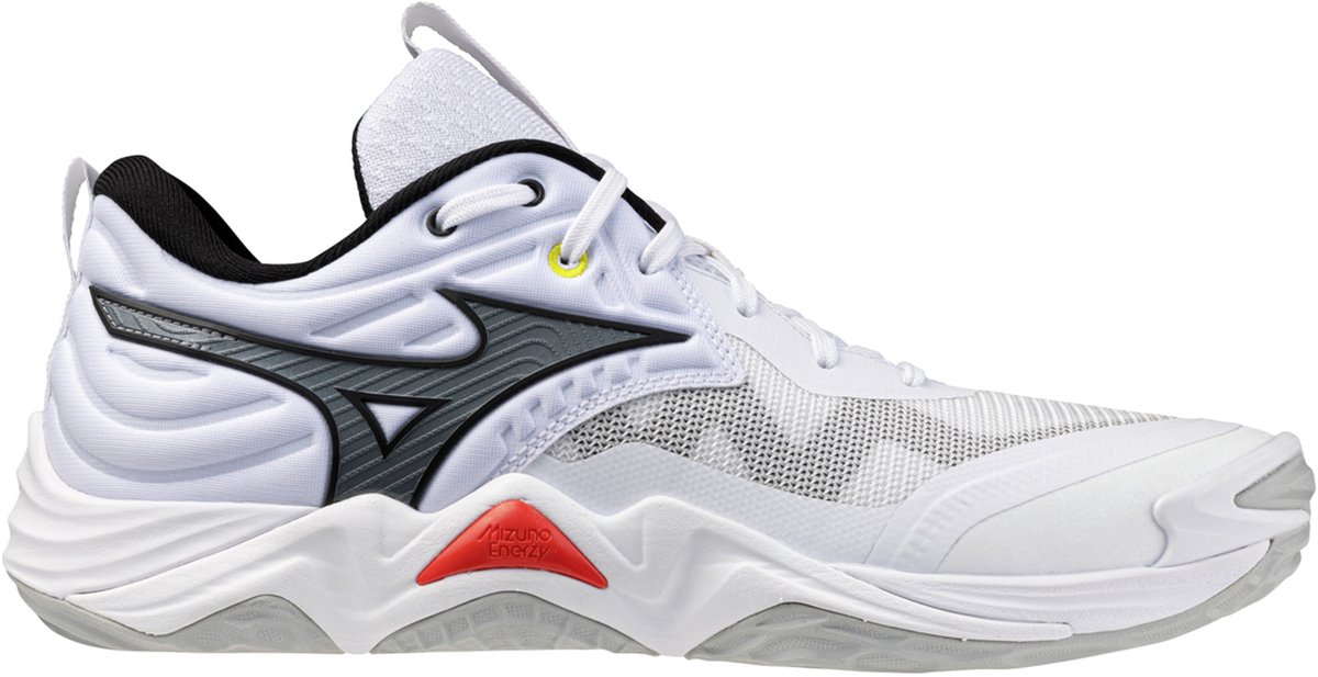 Hallenschuhe Mizuno Wave Momentum Elite
