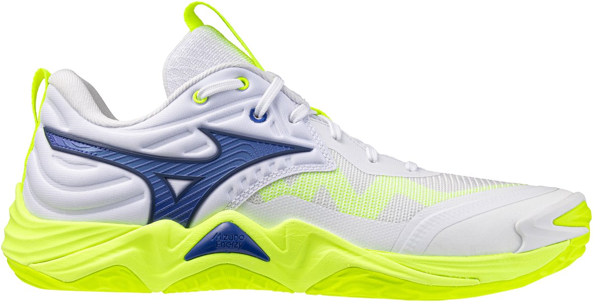 Hallenschuhe Mizuno Wave Momentum Elite