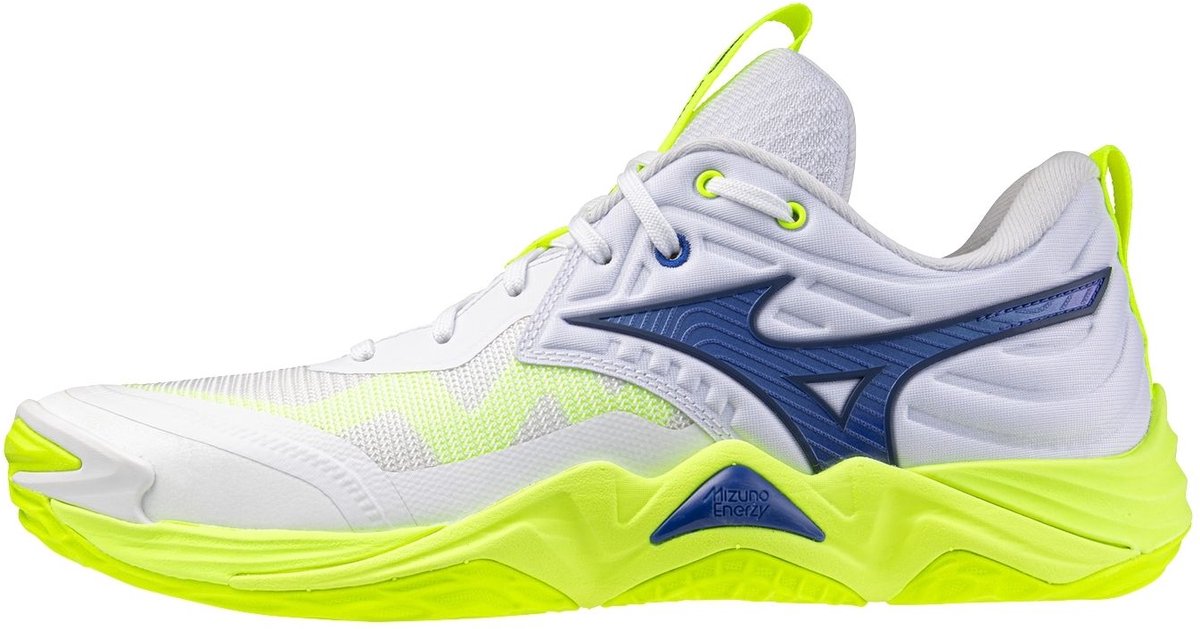 Hallenschuhe Mizuno Wave Momentum Elite
