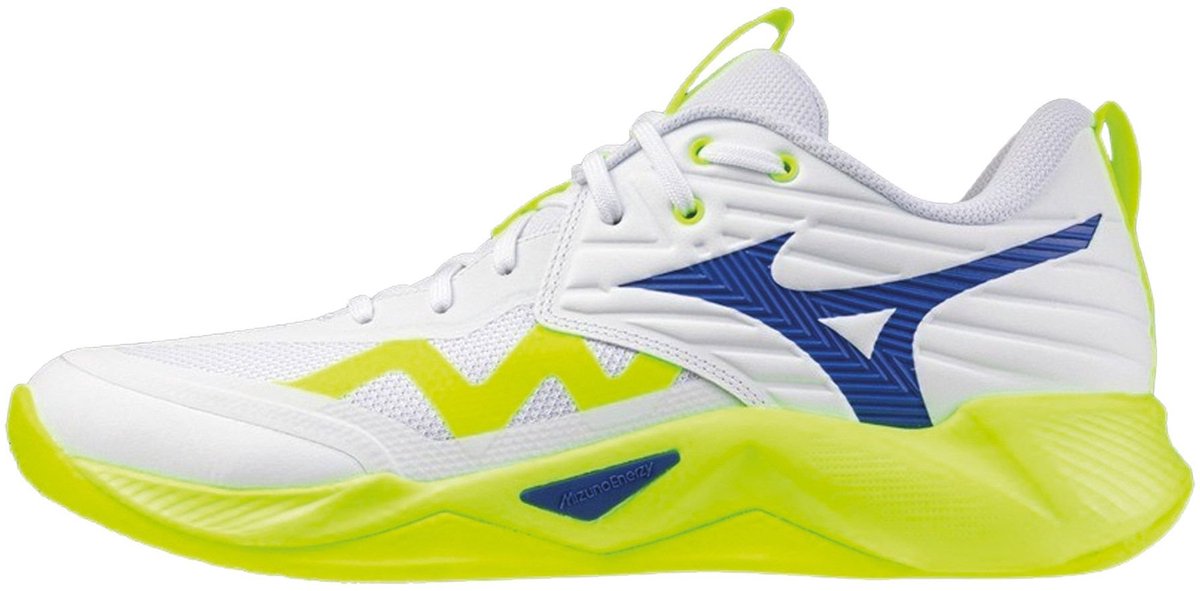 Hallenschuhe Mizuno Wave Momentum Pro