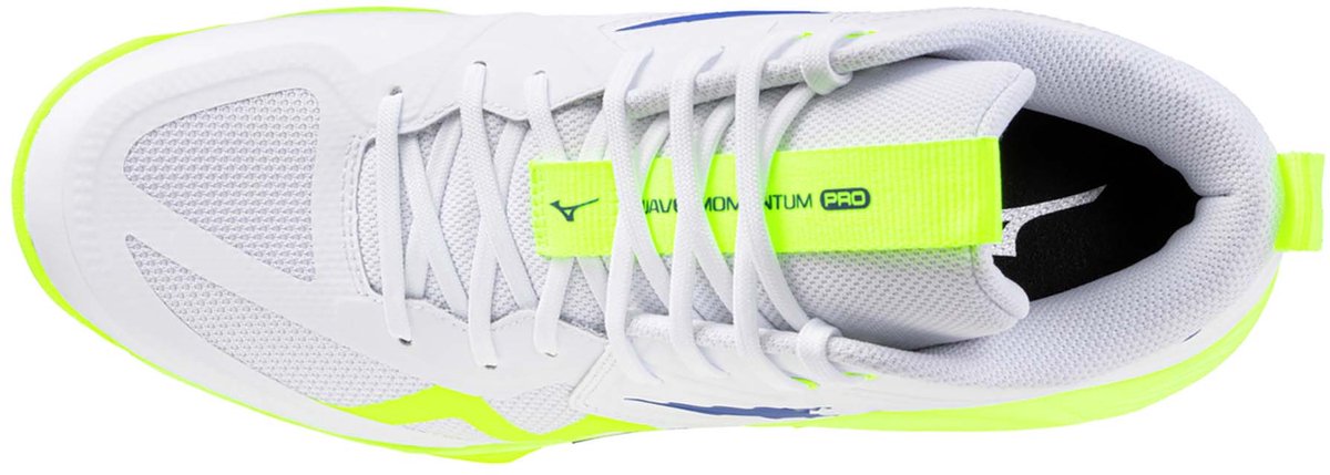 Hallenschuhe Mizuno Wave Momentum Pro Mid