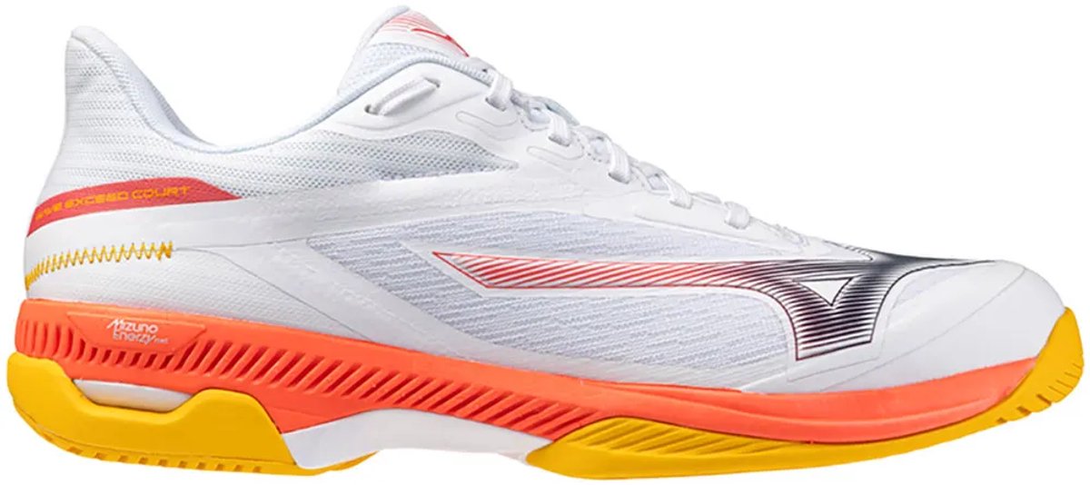 Tennisschuhe Mizuno Wave Exceed Court