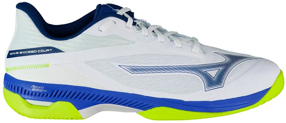 Tennisschuhe Mizuno Wave Exceed Court