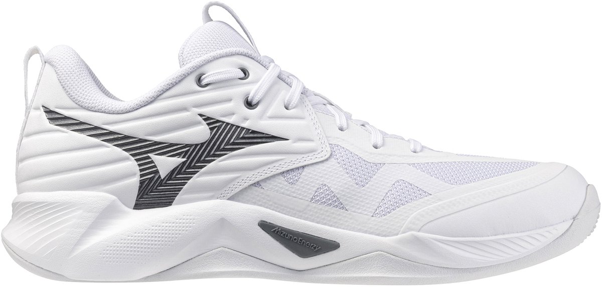 Hallenschuhe Mizuno Wave Momentum Pro