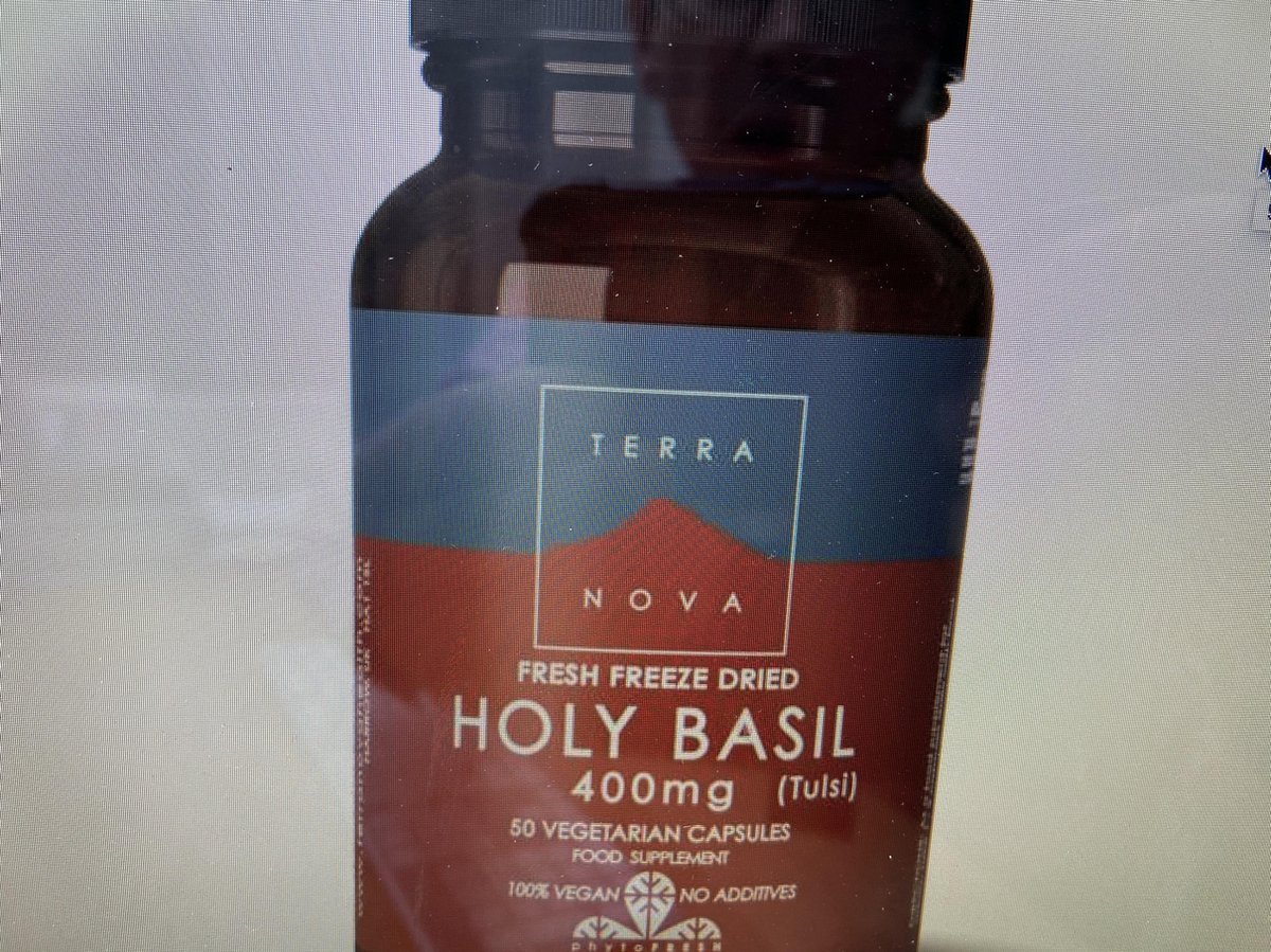 TerraNova Heiliges Basilikum 400mg Angst Ergänzung 50 pflanzliche Kapseln
