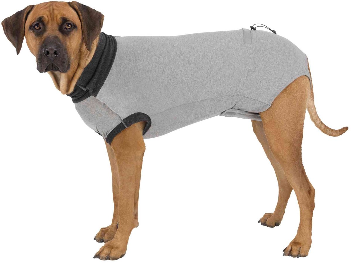 TRIXIE, XL, Körperschutz für Hunde, Baumwolle, 70cm