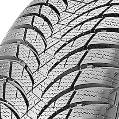 Nexen Winguard SnowG WH2 195/60 R15 88T