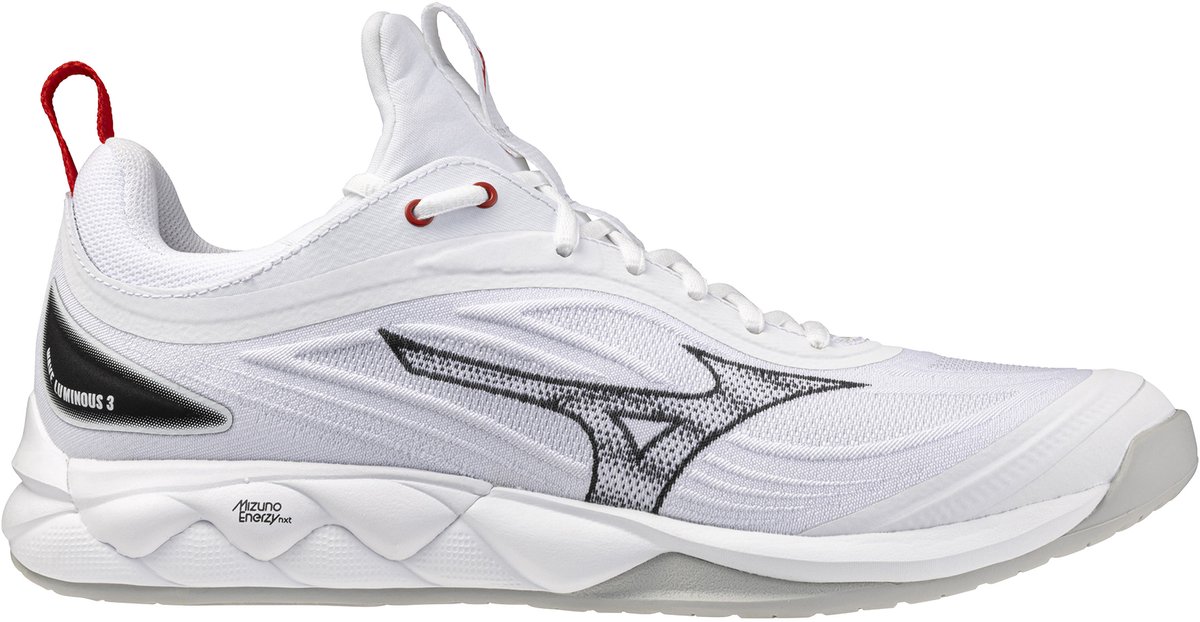 Hallenschuhe Mizuno Wave Luminous