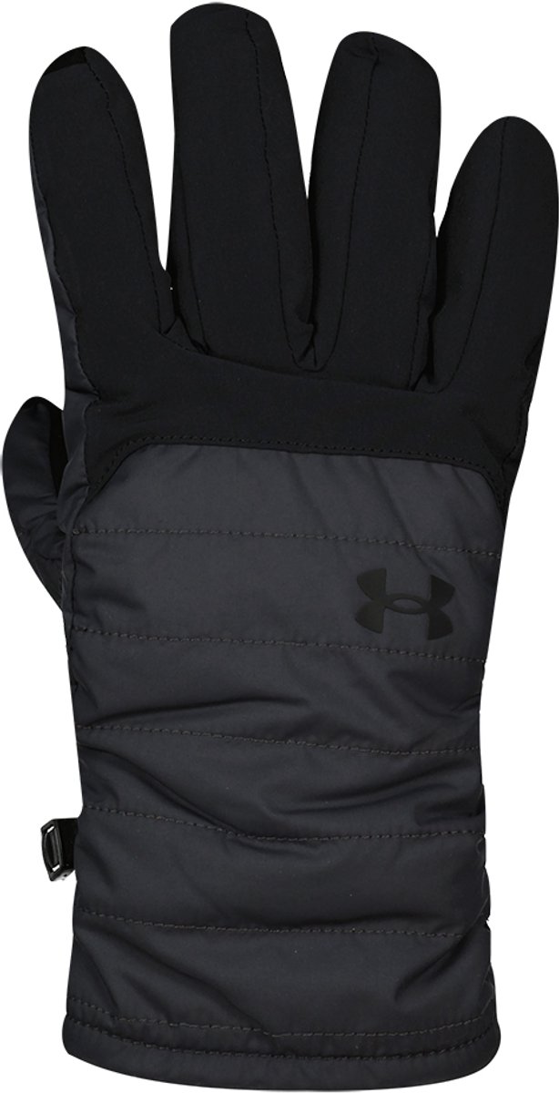 Handschuhe Under Armour Storm Insulated