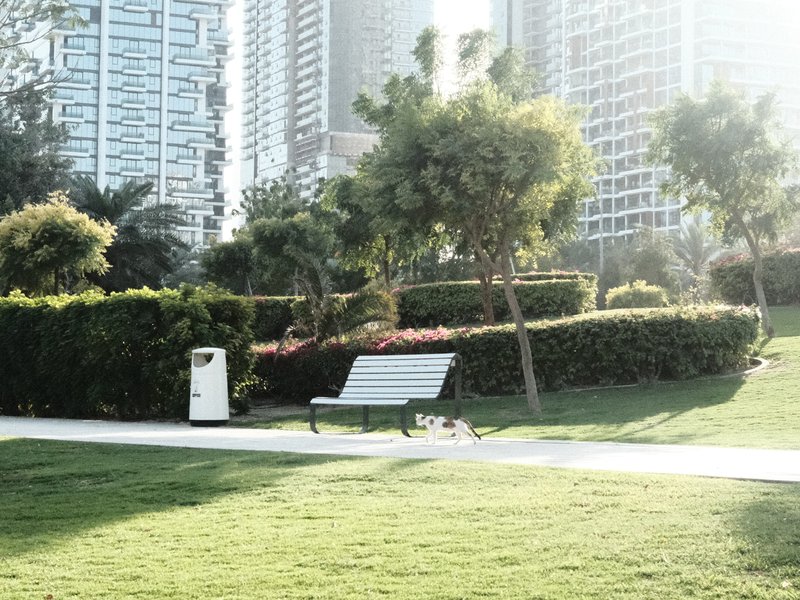 A park scene with a bench, trash can, and greenery surrounded by tall buildings under bright sunlight.