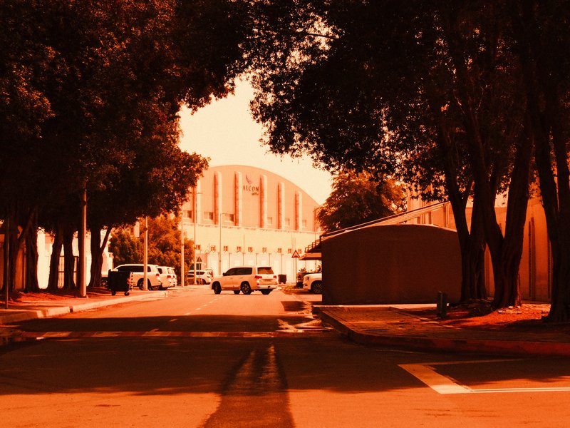 A view of a large building framed by trees, with vehicles parked along a road under warm lighting.