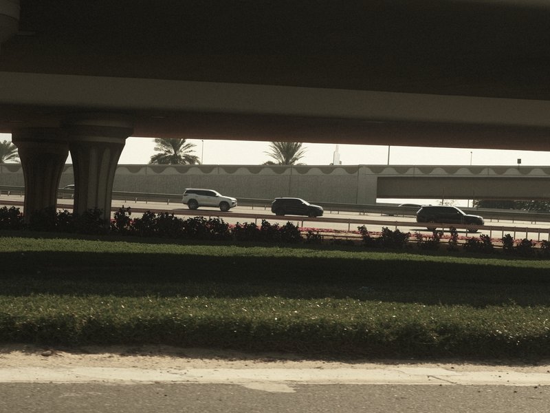 Cars driving on a highway under an overpass with greenery in the foreground.