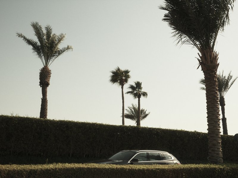 A car parked beside tall palm trees against a clear sky, with a hedge in the foreground.
