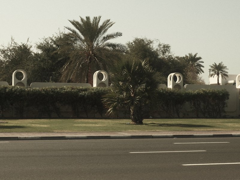 A view of a landscaped area with palm trees and a white wall in the background under bright sunlight.