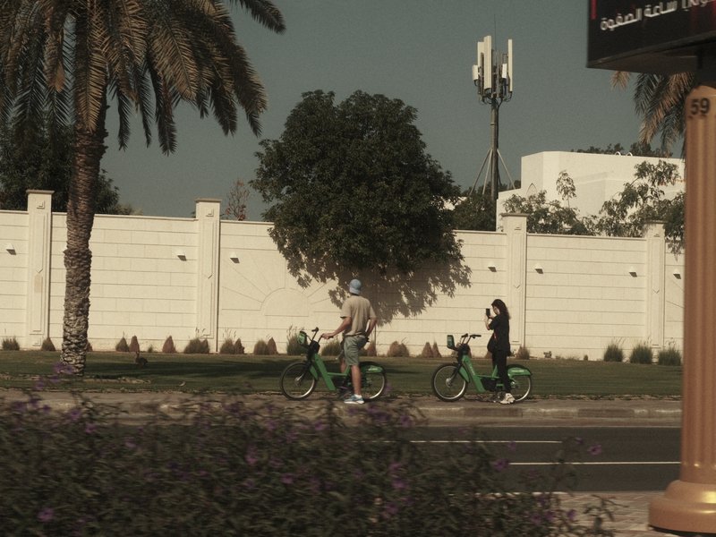 Two people riding bicycles along a palm-lined street with a white wall in the background.