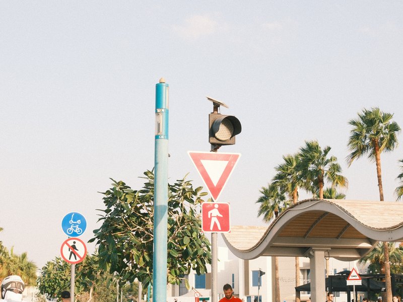 Traffic signals and pedestrian signs with palm trees in the background under a clear sky.