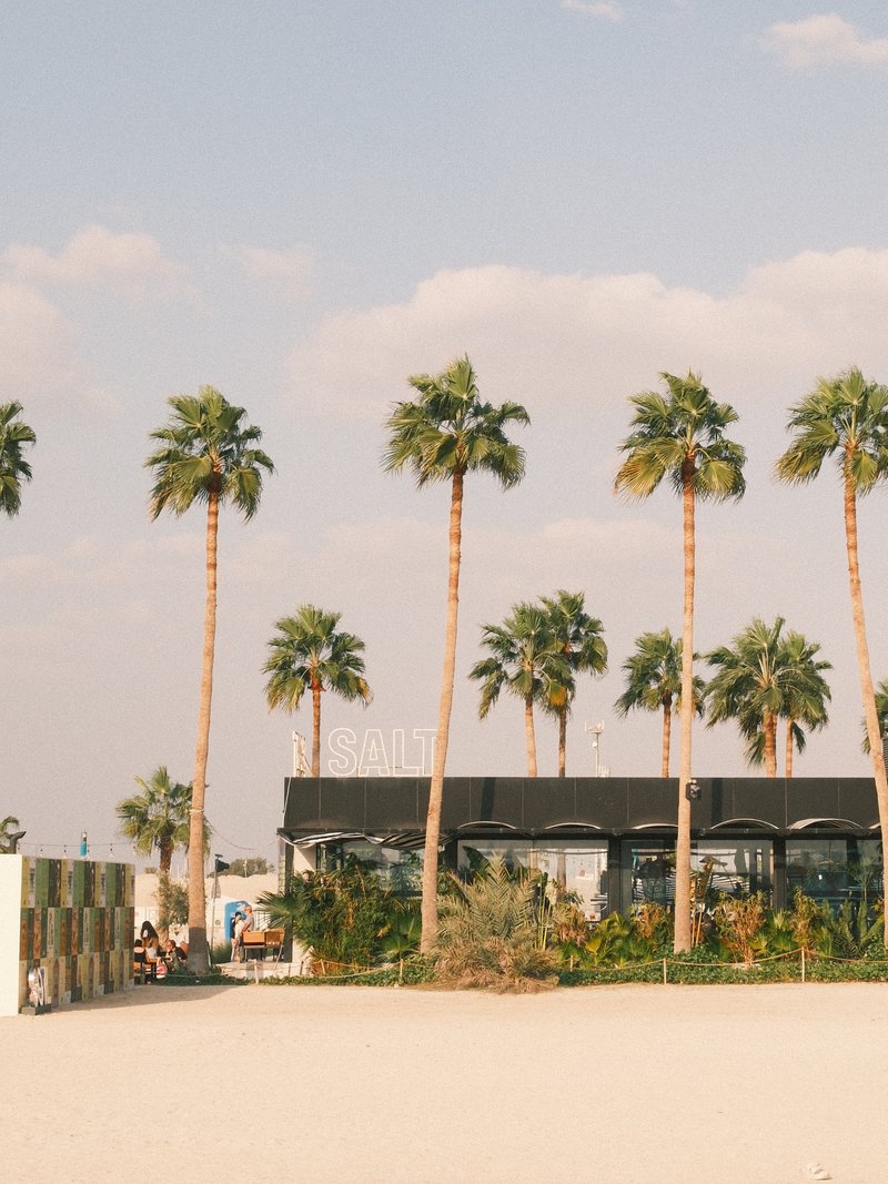 A beach scene featuring palm trees and a modern building with a sign, under a clear sky.