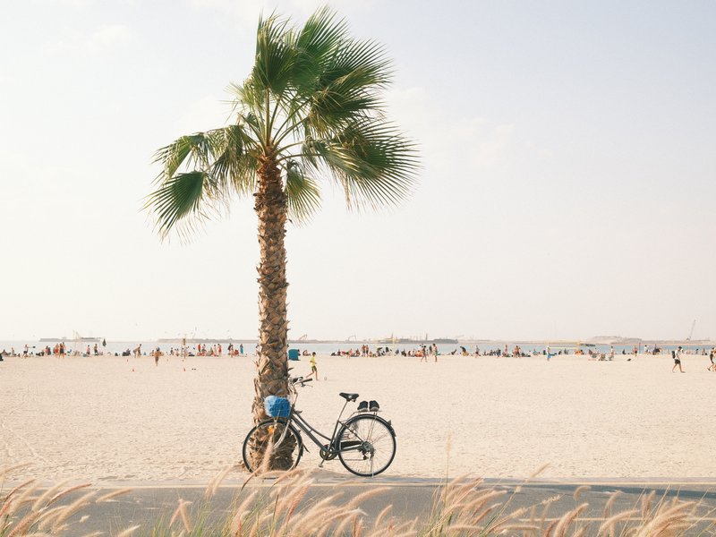 A bicycle leaning against a palm tree on a sandy beach with people in the background.