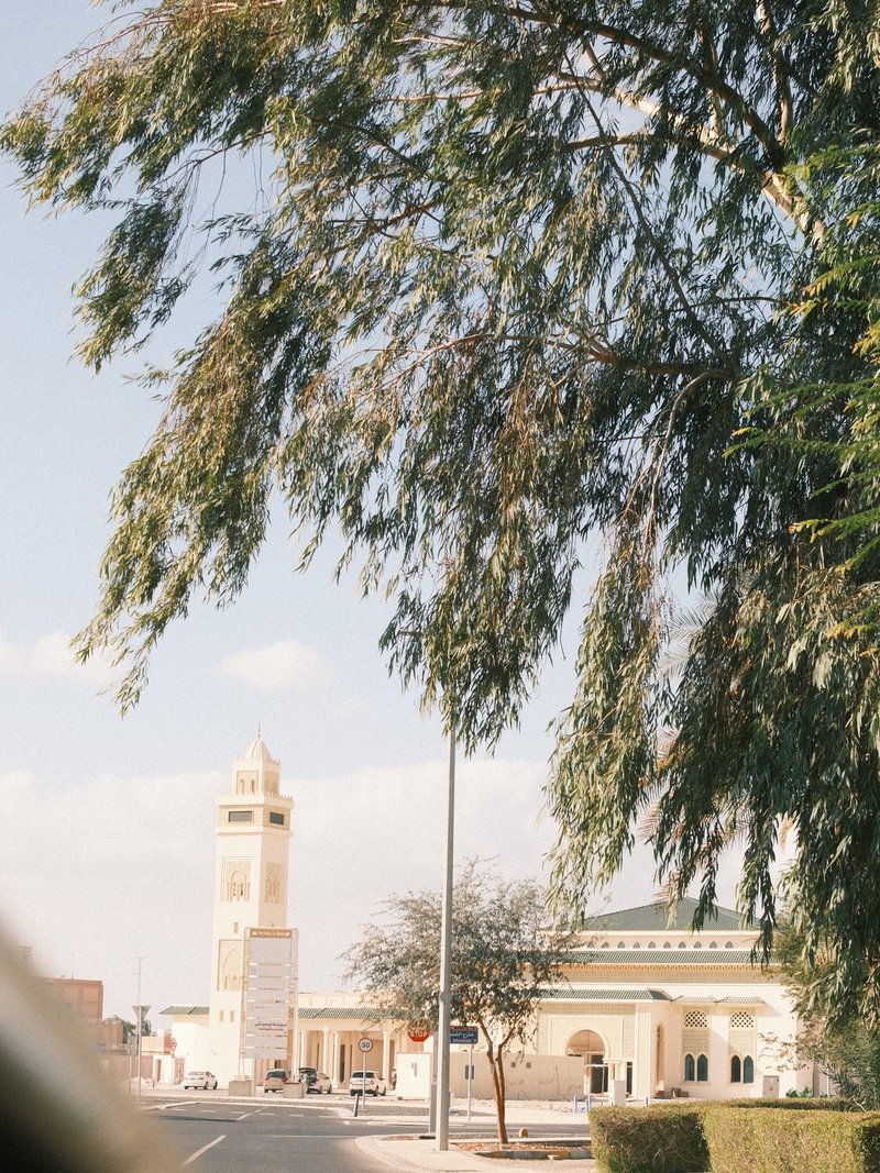 A view of a clock tower partially obscured by tree branches on a sunny day.
