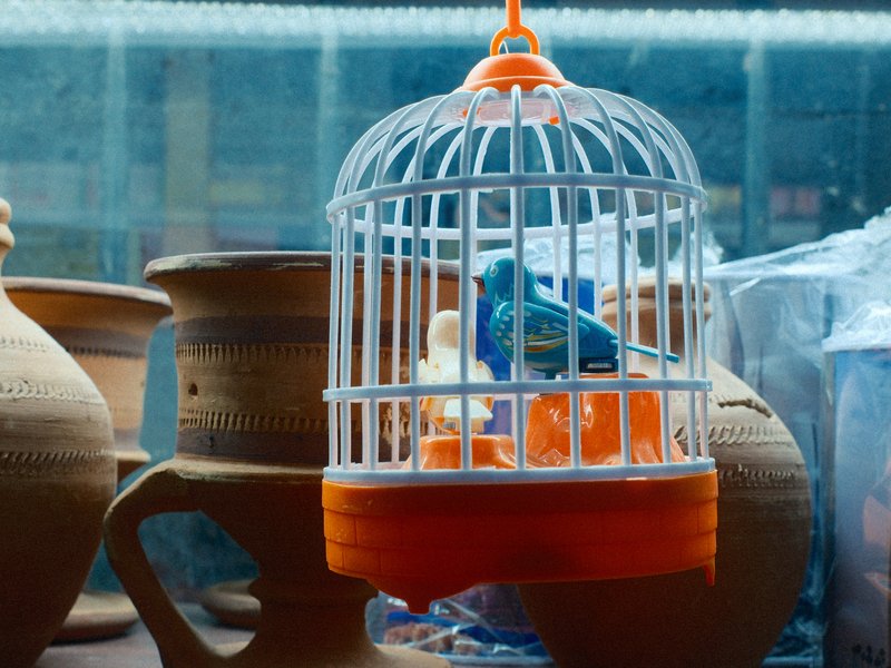 A colorful bird in a white birdcage surrounded by clay pots in a market setting.