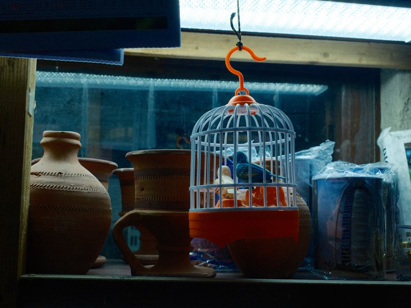 A bird in a cage inside a dimly lit shop, surrounded by clay pots and various items.