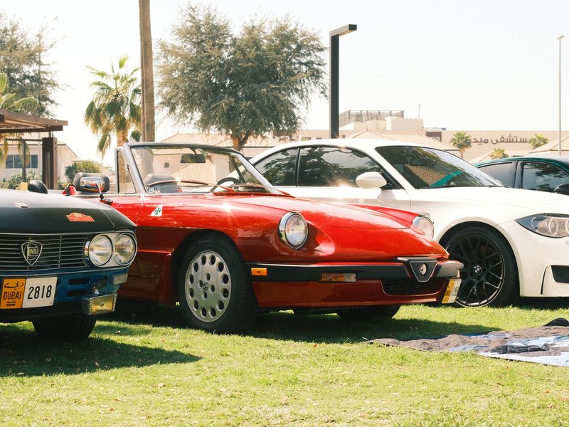 A lineup of classic cars on green grass, featuring a red convertible in the foreground.