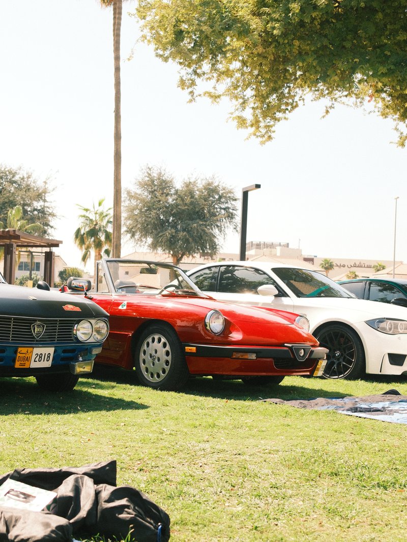 Three cars parked on green grass under a sunny sky, with palm trees in the background.