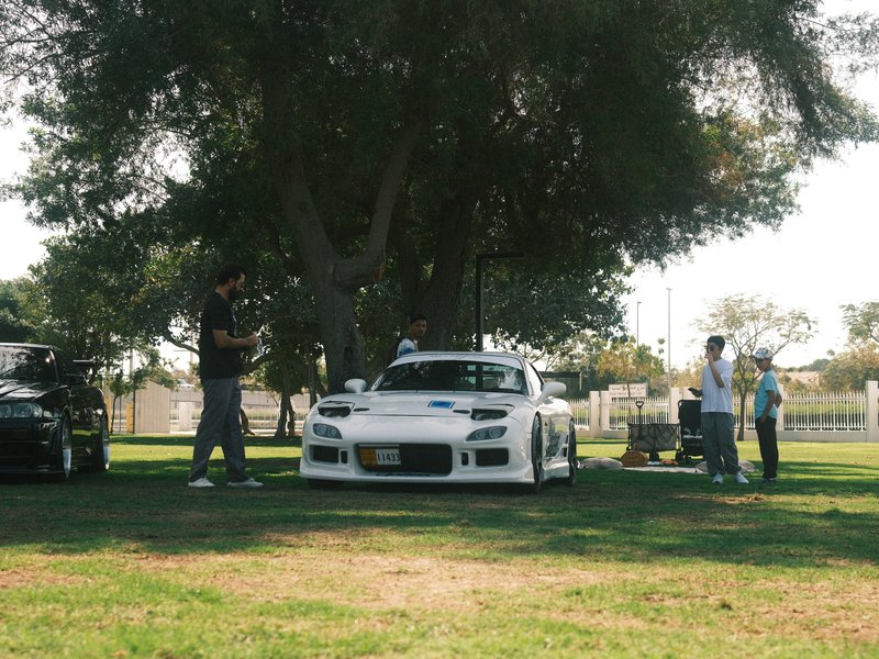 A white sports car parked under a large tree with people gathered around in a grassy area.