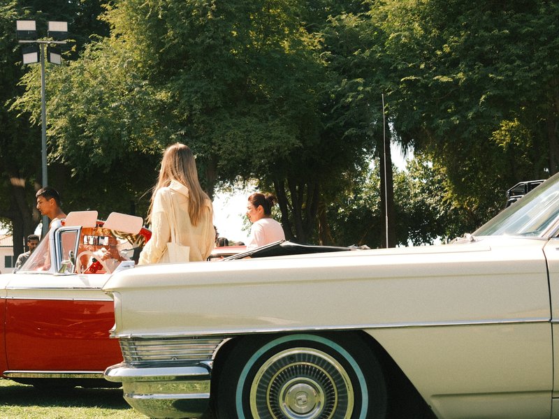 A vintage car with a woman in a light dress sitting in the backseat, surrounded by greenery.