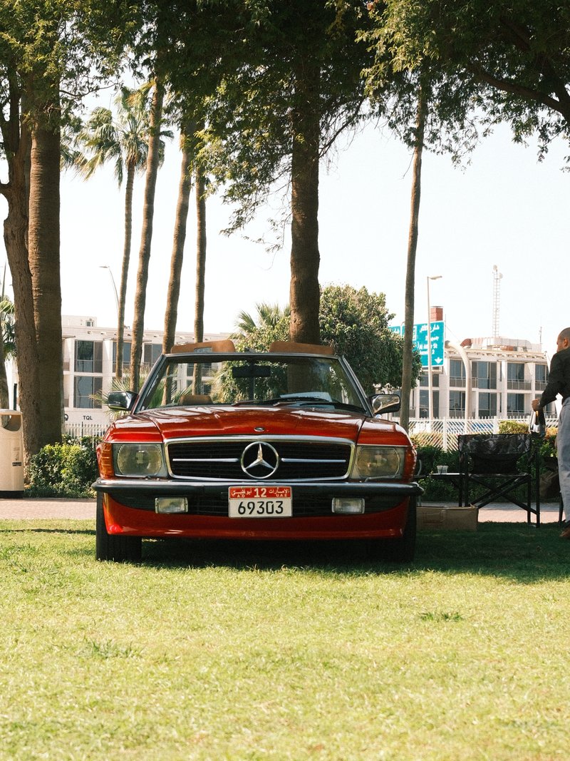 A classic red Mercedes-Benz sports car parked on green grass under trees with a person nearby.