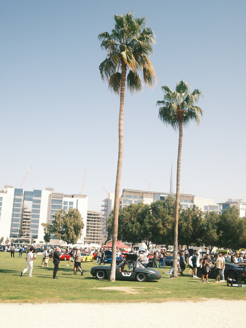 A lively outdoor car show with palm trees and a crowd of people enjoying the event.