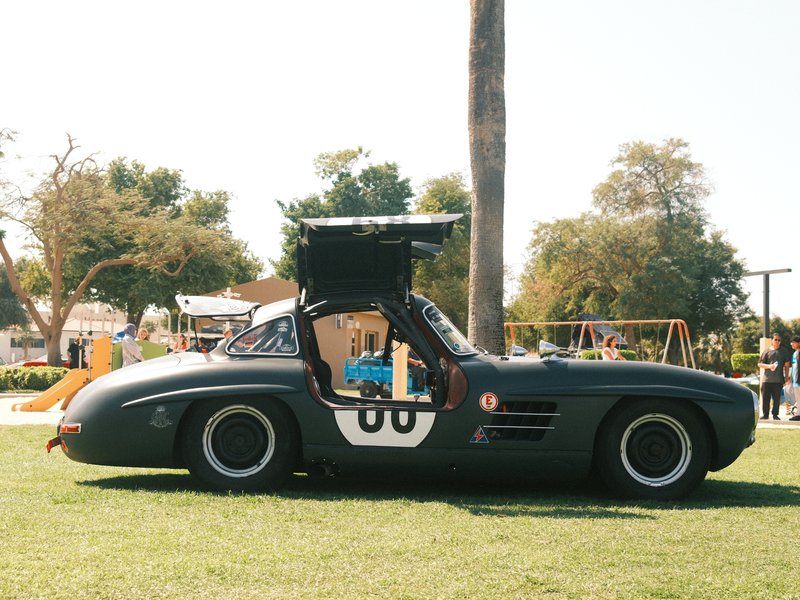 A classic black sports car with gullwing doors parked on green grass in a sunny outdoor setting.