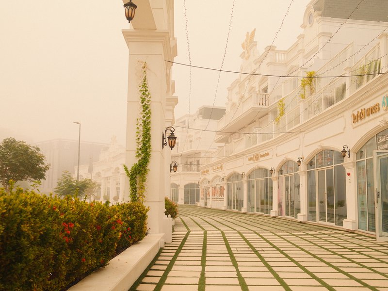 A foggy street scene with white buildings and a tiled pathway lined with greenery.