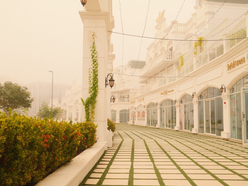 A misty outdoor scene featuring a white building with arches and a pathway lined with greenery.