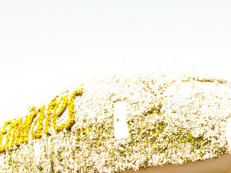 A close-up of a floral arrangement with yellow and white flowers on a light background.